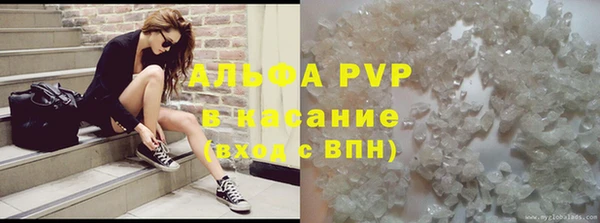 ешки Аркадак