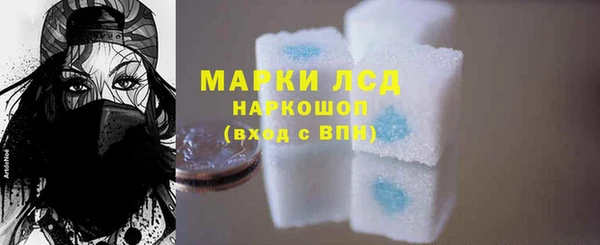 ешки Аркадак