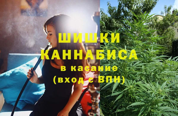 ешки Аркадак