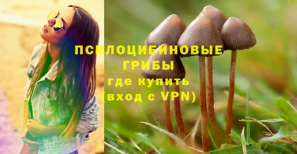 гидропоника Армянск