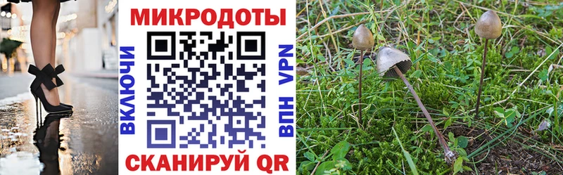 Галлюциногенные грибы Cubensis  где найти наркотики  blacksprut зеркало  Заозёрск 